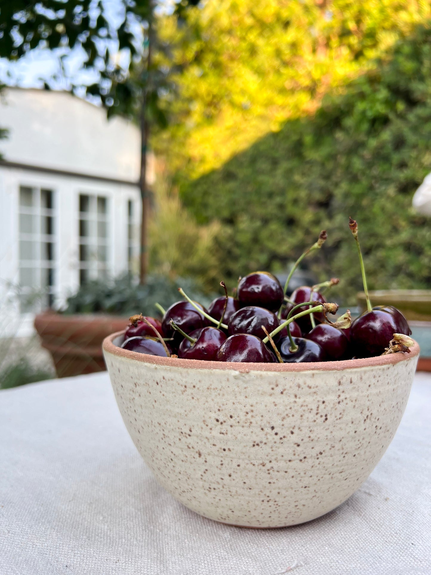 Speckled White Matte Bowls